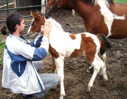 Phil et la petite Sedna (curly) au ranch Namaspamoos, à Lacolle