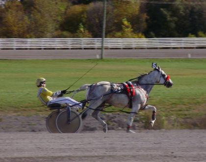 Encore mon chum, en course, avec Pasha, un beau petit cheval...