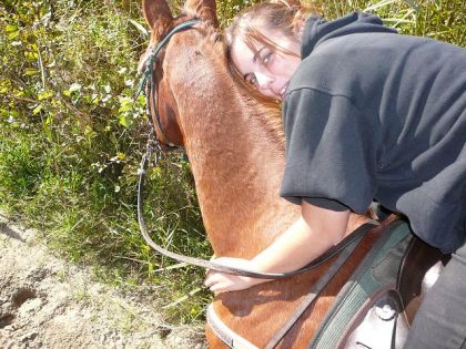 Le cheval que j'aime le plus, mon vieux Stan