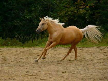 ma photo prefer&eacute;e de Bonny!!!