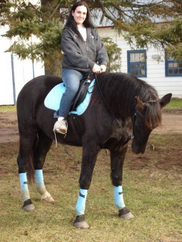 Cavalière sur cheval noir avec kit turquoise