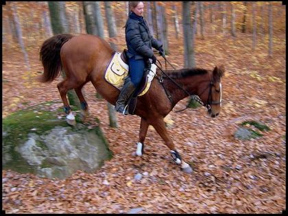 Et hop, en bas de la roche...! ;)