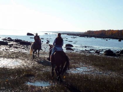 mon cheval et moi, ds le fleuve