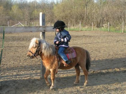 Jeune cavalière sur un poney