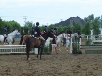 Premier concours à v.d.b .....j'attend de recevoir mon ruban