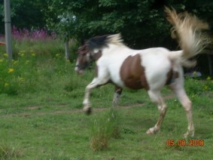 photo par zina