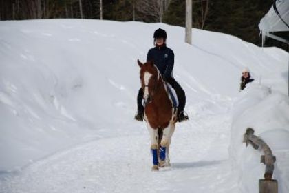 Vous vous ennuyez de la neige ?? Pas moi !! Lancelot et moi,...