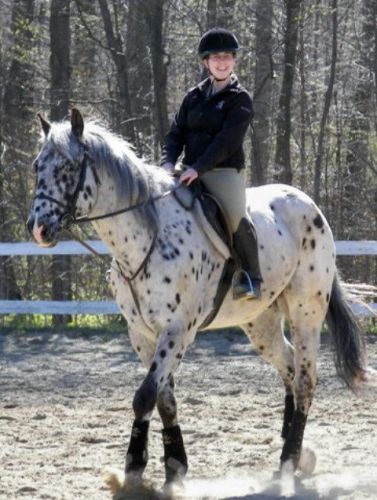 Cheval blanc tacheté noir et sa cavalière