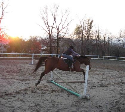 Kath_sav avec mon cheval qui était content de sauter :D