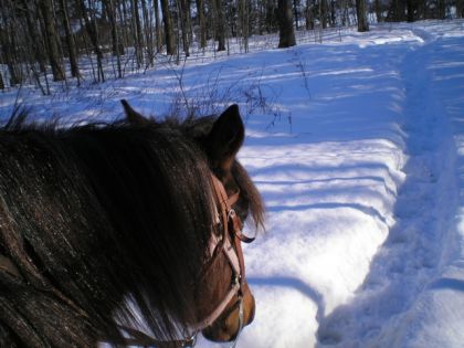 rando dans la neige     Canelle