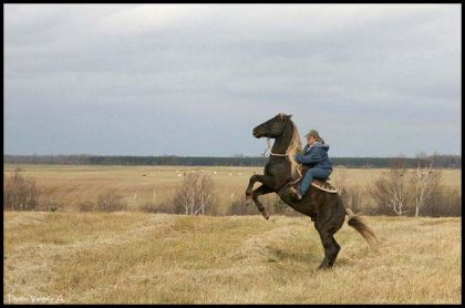 Galop dans les champs en admirant le paysage de haut!