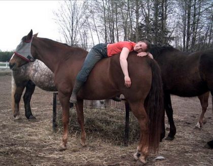 Quelqu'un couché sur les fesse d'un cheval