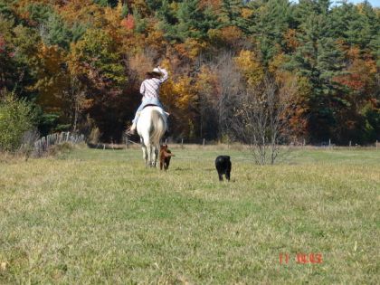 photo par cowgirl_up