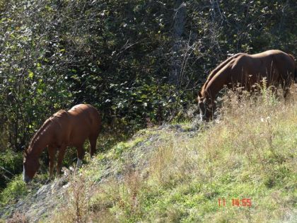 photo par cowgirl_up