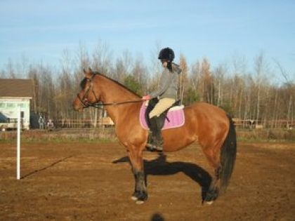 Je T'aimme Tout Simplement (L)