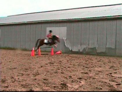 Mon ancienne ponette