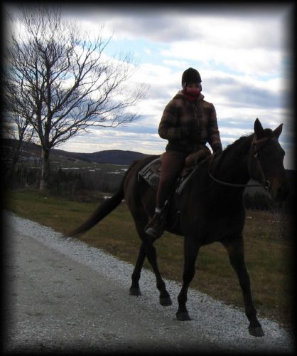 En randonnée au trot :) La belle Miss J'ai hâte de la montée...
