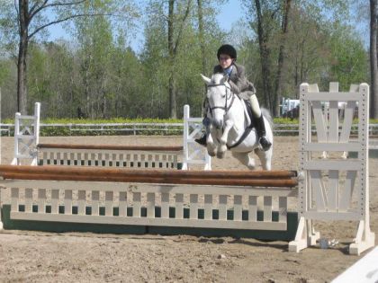 Saut d'un obstacle par cheval blanc