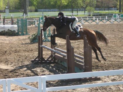 Une cavalière et son cheval à Blainville