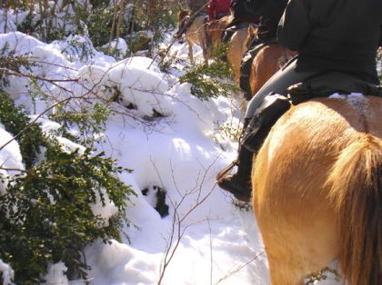 POur ReDOnner GOut  A  L'Hiver !! Sa ArRive A Grand Pas !Je Vien...