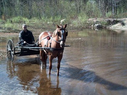 Voiture tirée par jument dans une rivière