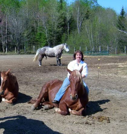 Cavalière sur son cheval couché.