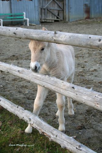 Elle est trop mignonne!!