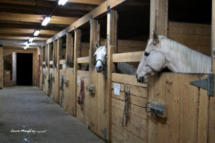 Au ranch :)