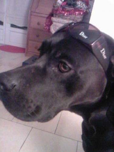 comme il s'la pete avec ses lunettes DIOR