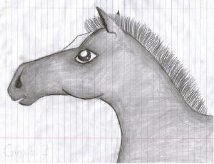 un dessin de poulain que j.ai fait pendant mon cour de religion