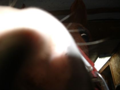 Zippeline...!!trp drôle..elle à l'air d'une vache de se point de...