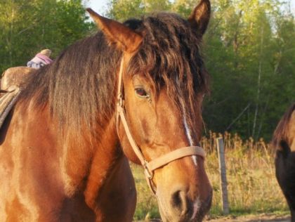 le beau champion ...  un de mes premier amour.....  hihi