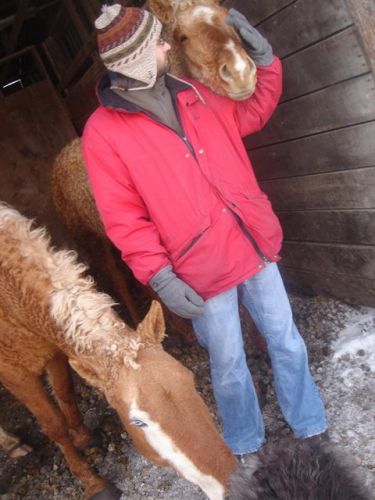 Phil, Onni (la pouliche curly), Funnyface (la maman d'Onni) et...