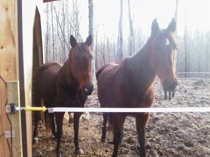DoLy Et TouTs ( Le PHoTO SeRai jolie sa Le ReFlet Du Soleil !!