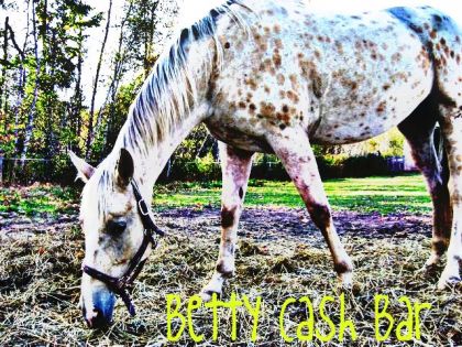 Voiila Betty Cash Bar En HDR !! C Choux !! :D