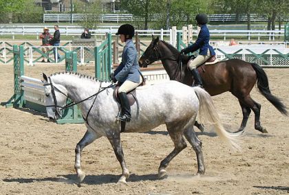 et que mon cheval était bouncy, j'ai du travailler...