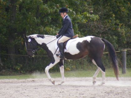 moi et satine avant le dressage du fun show a napierville 2...