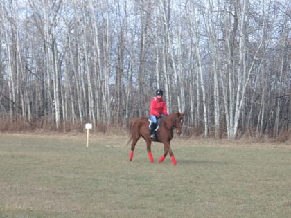 Sunny et moi en rando y faisais fret!
