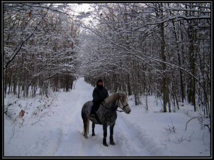 On dira c'qu'on voudra de ce maudit hiver mais avec une forêt...