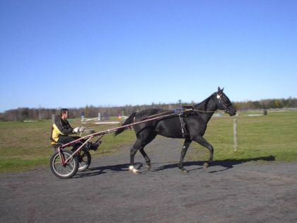 photo de mon entrainement l'&eacute;t&eacute; dernier