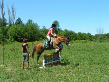 TREC