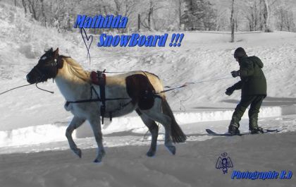 Un nouveau sport  !! Le snow-joering XD ... avec Ma juju
