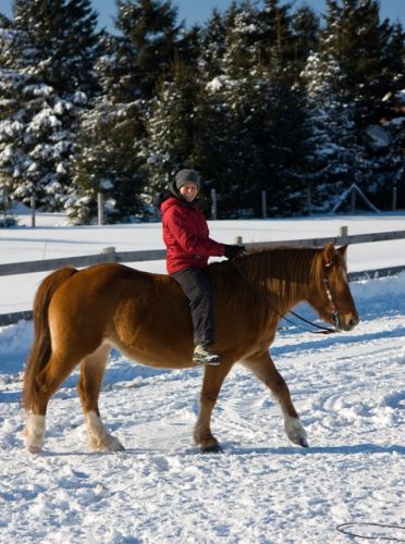 photo par Eva Rose Sans selle hier dans le manège...sur ma belle alezane!