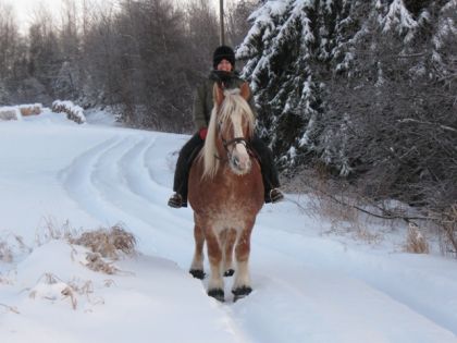 Il fait  -20 degré C mais c'est pas grave, on est bien à...
