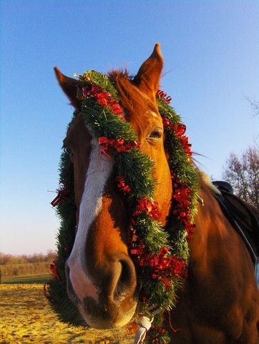 Flo' fête Noël ^^