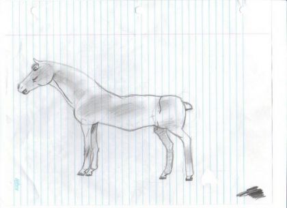 Mon premier cheval dessiner! ...Il est loin detre parfait mais...