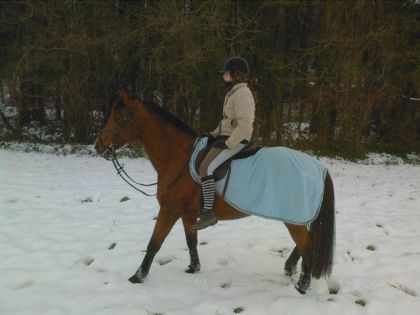 je trouve qu'il a une face de poulain sur cette photo ^^