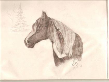 dessin paint horse