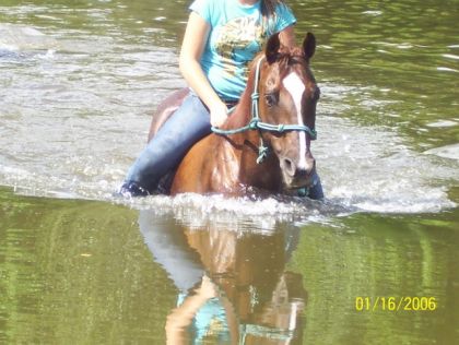 ma tite daisy dans l`eau