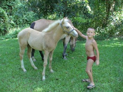 photo par valou-nc Lucas mon fils de 6 ans et son poulain en symbiose !!!